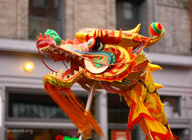 Дракон Дракон