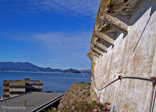 Alcatraz