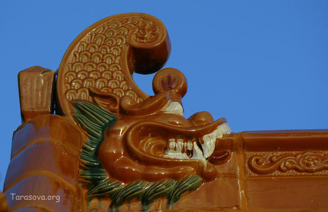 Фрагмент крыши гранд-павильона Фрагмент крыши гранд-павильона