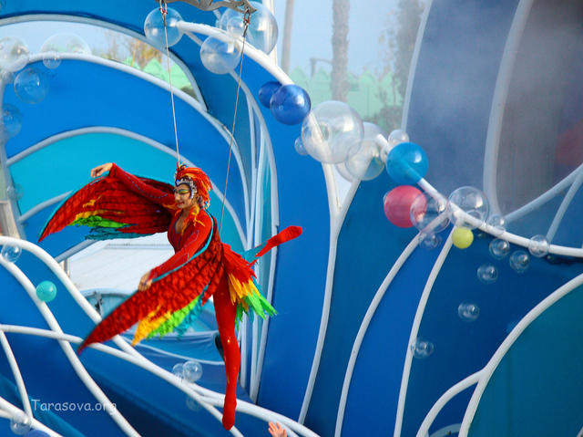 Красочное представление Красочное представление