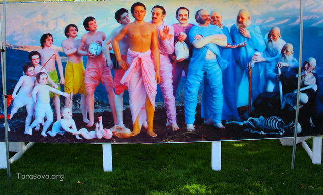 Неизбежность жизненного пути Неизбежность жизненного пути