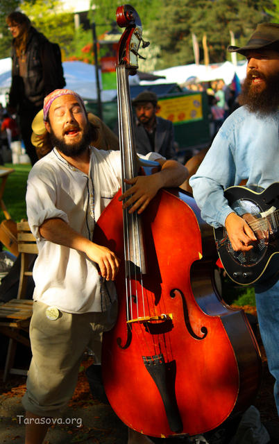 Контрабас Контрабас