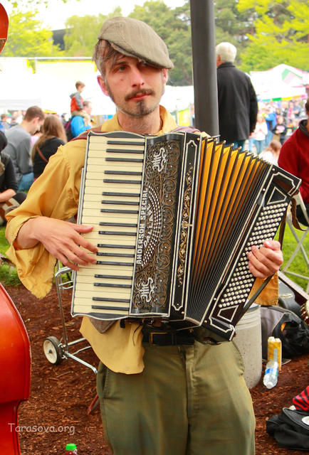 Аккордеон Аккордеон