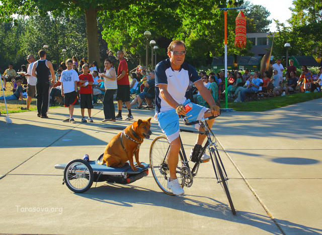 Рикша Рикша