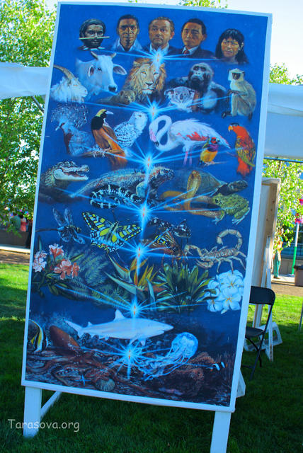 В матеpиальной жизни все живые существа имеют одинаковую духовную пpиpоду В матеpиальной жизни все живые существа имеют одинаковую духовную пpиpоду